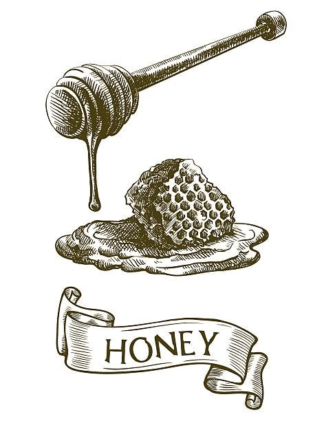 1,734 Honey Dipper Illustrations, Royalty-Free Vector Graphics & Clip Art - iStock Honey Wand Drawing, Honey Dripping Tattoo, Honey Wand Tattoo, Honey Dripping Drawing, Honey Spoon Tattoo, Honey Dipper Tattoo, Honey Stick Tattoo, Honey Comb Drawing, Honey Dripper