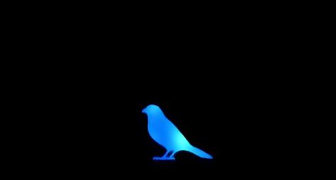 Blue Bird Naruto, Naruto Wallpaper, Blue Bird, Naruto, Wallpapers, Twitter, Anime, Blue, Black