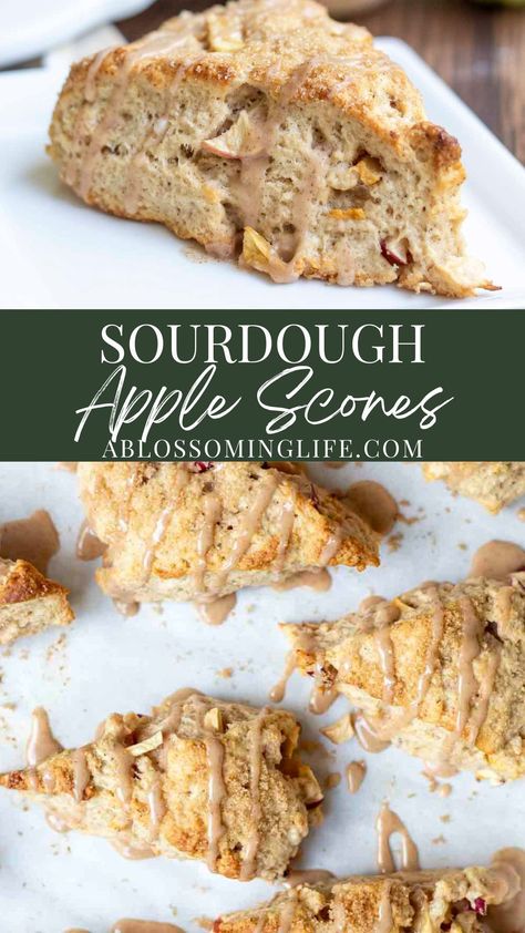 These sourdough apple scones are full cinnamon and apples and then topped with an apple glaze for the most delicious fall dessert. Perfect for breakfast, dessert, or brunch. Apple Scones Sourdough, Apple Scones Healthy, Apple Discard Recipes, Apple Cinnamon Sourdough Discard Muffins, Apple Sourdough Cinnamon Rolls, Sourdough Cranberry Scones, Sourdough Discard Apple Scones, Sourdough Apple Cinnamon Scones, Sourdough Apple Fritters Baked