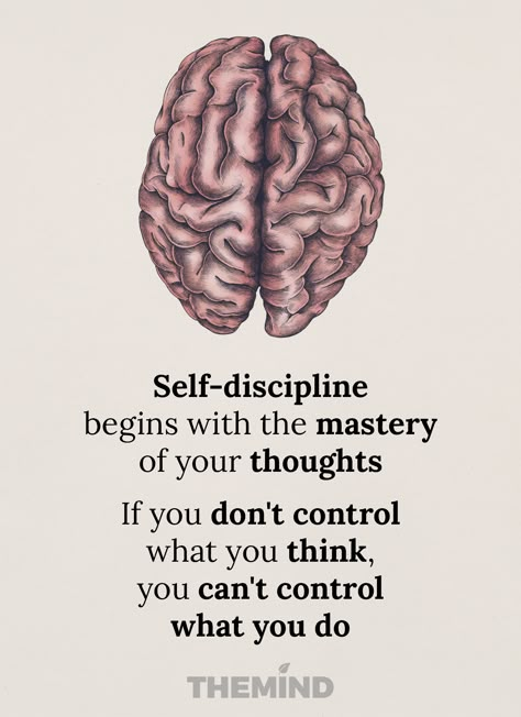 Discipline Not Motivation, Discipline Word Art, Knowledge Is Power Art, Self Discipline Quotes Motivation, Discipline Quotes Wallpaper, Discipline Illustration, Self Discipline Wallpaper, Quotes On Discipline, Self Discipline Quotes