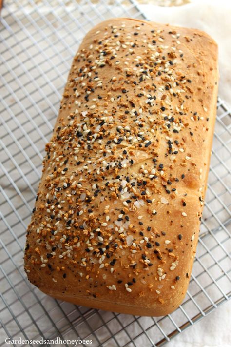 Sourdough Seed Bread, Seeded Sourdough Bread, Everything Bagel Seasoning Sourdough Bread, Everything Bagel Sourdough Bread, Honey Oat Sourdough Bread, Honey Whole Wheat Sourdough Bread, Everything Bagel Sourdough, Twelve On Main Sourdough Bagels, Sourdough Whole Wheat Sandwich Bread