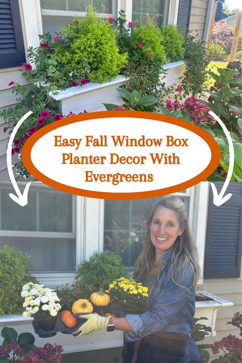 Lisa is back with the fall installment of our evergreen window box series! She's adding some plants that'll thrive in the cooler fall weather while also continuing to use the gorgeous arborvitaes you may have seen in our spring and summer videos - plus some fun seasonal decor! Follow along to see how we're planting this seasonal window box. See it over on our YouTube channel. Simple Fall Window Boxes, Window Boxes For Fall, Fall Window Boxes With Pumpkins, Winter Window Boxes, Fall Window Boxes, Window Box Flowers, Window Planter Boxes, Decorative Planters, Fall Weather