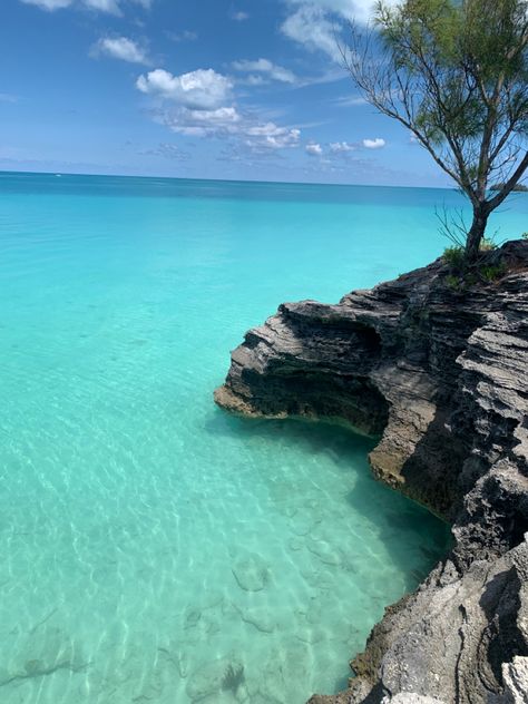 #clearwater #bermuda #beachlife Bermuda Aesthetic, Bermuda Travel, Holiday Destinations, Beach Life, Clear Water, North America, Collage, Water, Travel