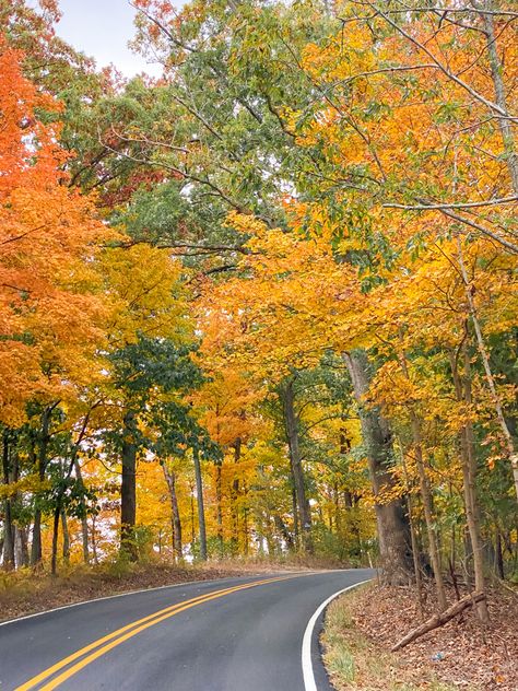 A Florida girl visiting Kentucky in the fall for the 2nd time. Autumn In Florida, Tis Autumn, Mammoth Cave National Park, Petrified Forest National Park, Mammoth Cave, Mesa Verde National Park, Capitol Reef, Petrified Forest, Capitol Reef National Park