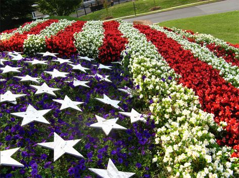 America is nothing if it consists merely of each of us; It is something only if it consissts of All of us. Woodrow Wilson 1916 Banner Flower, Patriotic Pictures, Black Thumb, Star Spangled Banner, Flower Company, Green I, Mod Style, The Fourth Of July, Flowers Beautiful