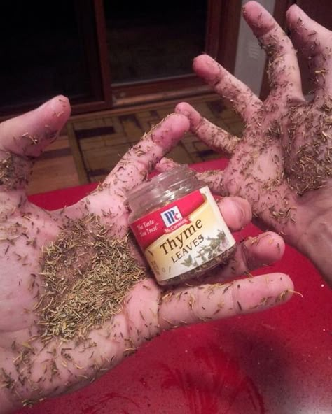 i've got way too much thyme on my hands - Imgur Funniest Snapchats, Meme Page, Love Puns, Bad Puns, Clean Memes, Spongebob Memes, It Goes On, Have A Laugh, E Card