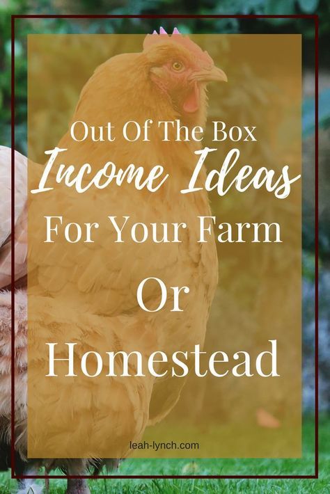 Acreage Living, Starting A Farm, Homesteading Animals, Urban Homestead, Farm Plans, Farming Business, Homestead Farm, Farm Business, Homesteading Skills