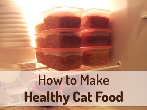 How to Make Homemade Cat Food | Pure Living for Life Homemade Raw Cat Food, Diy Cat Food, Healthy Cat Food, Raw Cat Food Recipes, Homemade Cat Food, Cat Nutrition, Homemade Cat, Healthy Cat, Cat Recipes