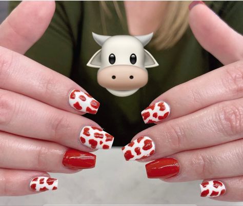 Cow print gel nails Red Cow Print Nails, Cow Print Gel Nails, Cow Pattern Nails, Red Cow Print, Cow Print Nails, Cowboy Nails, White French Tip, Cherry Nails, Print Nails