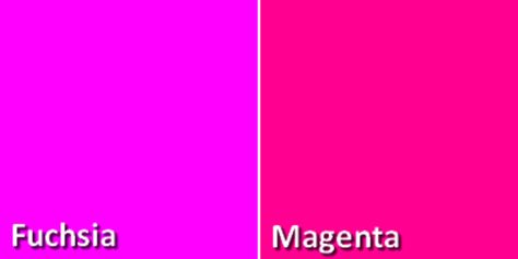 Fuchsia: Psychology, Meaning & Color Code (HEX, RGB, CMYK) Fuschia Pink Color, Fuchsia Plant, Color Design Inspiration, Hex Color Palette, Colorful Cakes, Color Psychology, Hex Colors, Fuchsia Color, Purple Hues