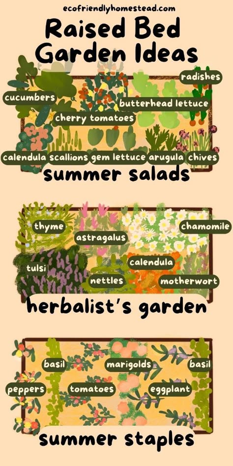 Garden Bed Decorating Ideas, In House Garden Ideas, Raised Veggie Garden Layout, Raised Garden Layout Ideas, Garden In Small Backyard, Green House Gardening For Beginners, Raised Garden Bed Planting Layout, Garden Bed From Pallets, Small Vegetable Garden Layout