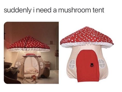 Take My Money, Dessin Adorable, Autumn Vibes, Fb Memes, My New Room, Dream Room, Fall Vibes, Random Things, Things To Buy