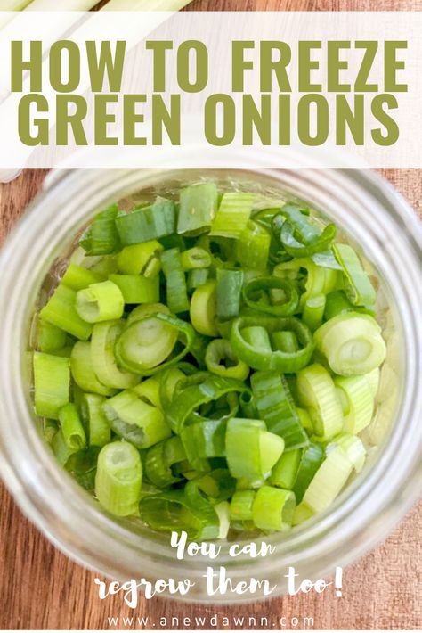 Canning Green Onions, Scallion Recipes Green Onions, Green Onions Storing, Freezing Green Onions, How To Preserve Green Onions, Pickled Green Onions Recipe, Freeze Green Onions, Freeze Ginger, Freezing Mushrooms