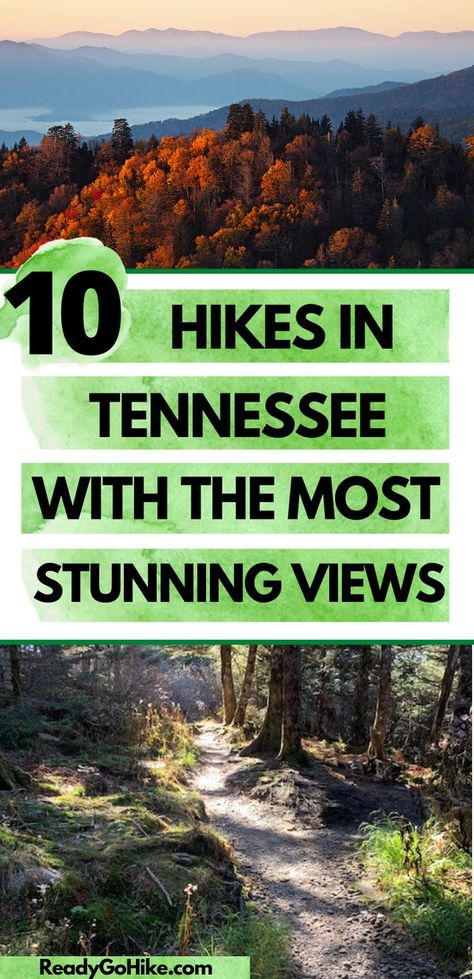 If you're interested in doing some hiking in Tennessee, you absolutely must check out this list of the best hikes in Tennessee. You'll discover the top hiking trails in Tennessee in every part of the state and for hikers of every skill level. Best of all, you'll see beautiful vistas! Be prepared to see views that will take your breath away when you discover these top 10 most scenic hiking trails in Tennessee. hike|hiking|hiker|hiking trails|best hiking trails in Tennessee|best hikes in Tennessee Hiking In East Tennessee, Best Hiking In Tennessee, Tennessee Hiking Trails, Best Hikes In Tennessee, Best Hiking In The Us, Hiking Places U.s. States, Best Hikes In The Us, Hiking Tennessee, Tennessee Hikes