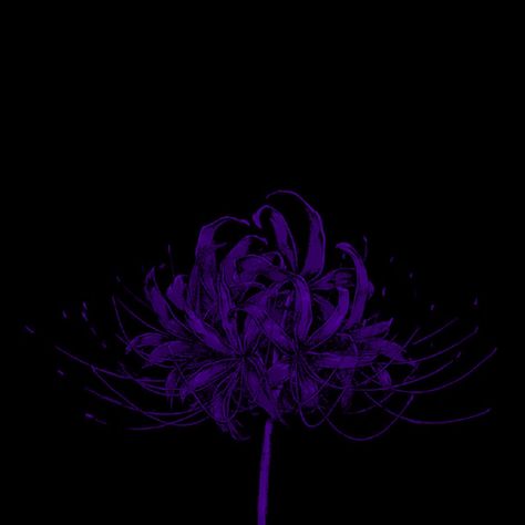 Tokyo Ghoul Purple Spider Lily, Tokyo Ghoul Flower, Red Spider Lily, Spider Lily, Red Spider, Purple Vibe, Favorite Flower, Phone Stuff, Purple Flower