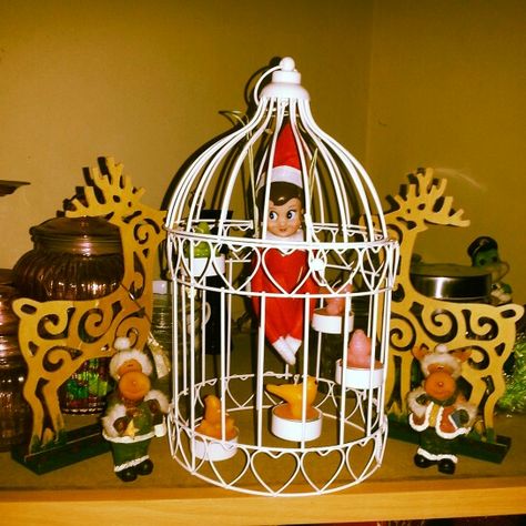 elf on the shelf bird cage On The Shelf, Bird Cage, Elf On The Shelf, Decorative Jars, Elf, Shelves, Home Decor, Home Décor