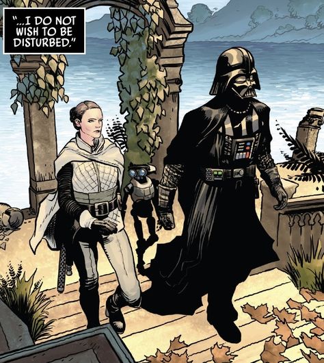 Darth Vader Comic, Anakin Vader, Darth Vader Star Wars, Dark Vador, Star Wars Anakin, Star Wars Books, Star Wars Empire, Star Wars Comics, Hayden Christensen