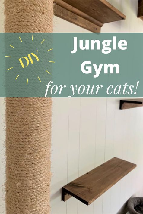 How to make DIY staircase shelves climbing wall for a cat jungle gym AND a few other cat DIY's. Diy Cat Wall Stairs, Shelves For Cats Diy, Indoor Cat Shelves, Cattery Ideas Cat Room Play Areas, Diy Climbing Wall For Cats, Climbing Cat Wall, Easy Cat Shelves Diy, Diy Wall Mounted Cat Scratcher, Wall For Cats Diy Projects