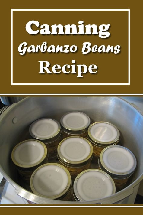 Canning Garbanzo Beans Recipe -- a.k.a chickpeas... #cannning #pressurecanning #canner #preserving #hummus #homestead #homesteading #chickpeas #canningbeans Canning Bacon, Canning Beans, Canned Bacon, Garbanzo Bean Recipes, Canning Granny, Glazed Carrots Recipe, Canning Process, Canned Green Chilies, Canning Ideas