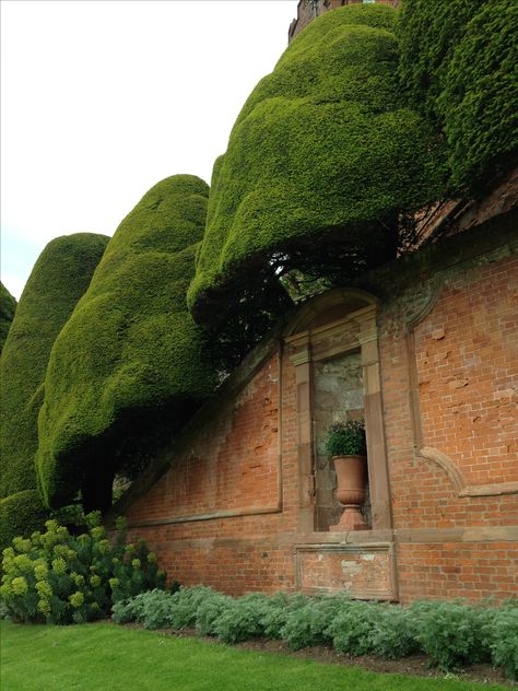 Powis Castle, Gardens Of The World, European Garden, Topiary Garden, Formal Garden, Castle Garden, Topiaries, Formal Gardens, Traditional Landscape