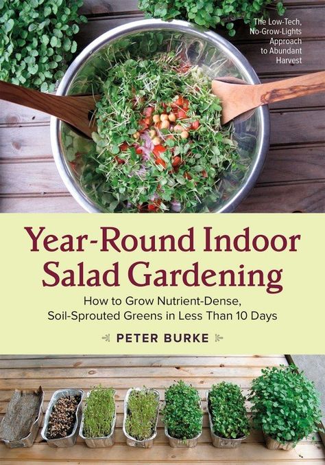 Year Round Indoor Salad Gardening, Indoor Vegetables, Garden Shelves, Indoor Vegetable Gardening, Hydroponic Gardening, Indoor Gardening, Food Garden, Veggie Garden, Growing Food