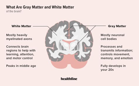 Gray Matter vs. White Matter: Differences in Brain Function White Matter Brain Disease, White Matter In Brain, Parasitic Worms, Nerve Fiber, Grey Matter, Brain Diseases, White Matter, Brain Tissue, Brain Exercise