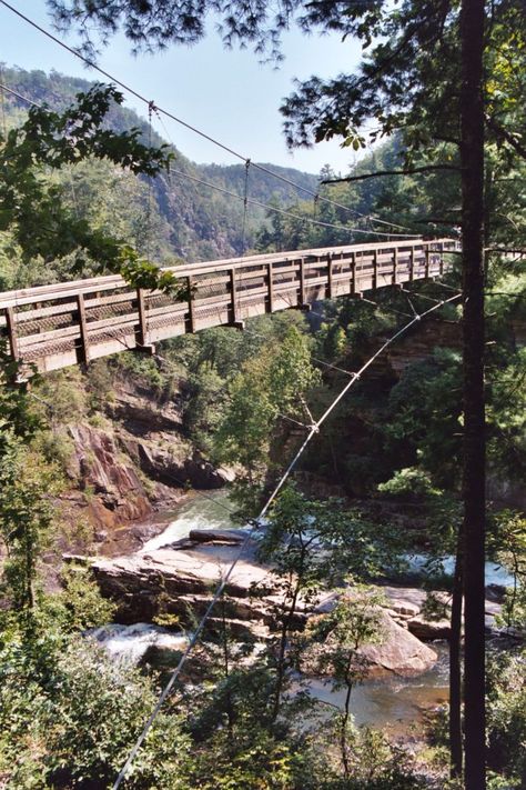 Tallulah Gorge, Hiking In Georgia, Georgia Vacation, Georgia Travel, Georgia Mountains, Suspension Bridge, A Bridge, Vacation Places, Vacation Spots