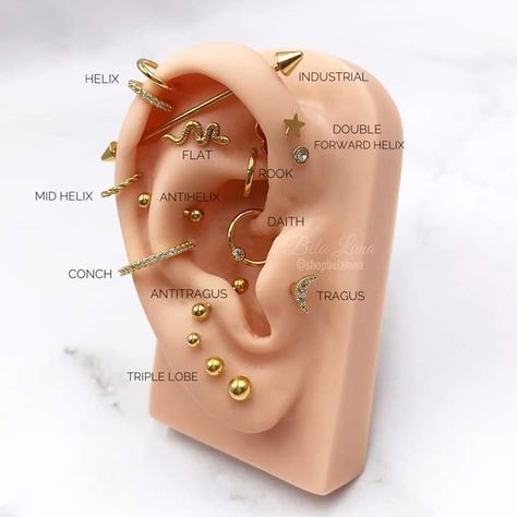 Ohrknorpel Piercing, Different Types Of Piercings, Different Ear Piercings, Ear Peircings, Ear Piercings Chart, Piercing Chart, Types Of Ear Piercings, Forward Helix Piercing, Cool Ear Piercings