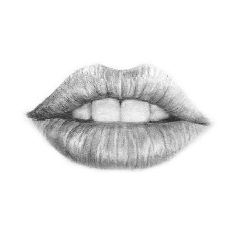 lips-drawing-in-pencil-best-25-drawing-lips-ideas-on-pinterest-how-to-draw-lips-free (1) Teeth Drawing, Lips Sketch, Lip Drawing, Mouth Drawing, Drawing Eyes, Drawing Faces, Lips Drawing, Pretty Drawings, Eye Tutorial