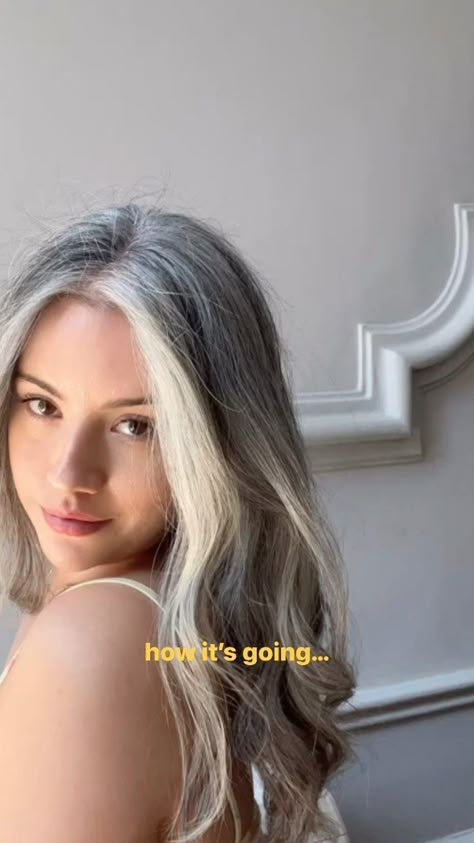 growing out my grey hair; how it started / how it’s going ✌️💕 my last dye before my silver hair journey was the end of 2019 & my only… | Instagram Premature Grey Hair Styles, Grey Hair Trend, Natural Long Grey Hair, Grey Hair Shoulder Length, Grey Hair Young Women, Grey Hair Growing Out, Dyed Grey Hair, Grey Hair Wax, Grey Hair Blending