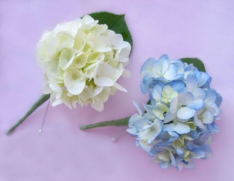 Hydrangea Corsage, Hydrangea Boutonniere, Groomsmen Boutonniere, Corsage Wedding, Theme Color, White Hydrangea, Bridal Flowers, Wedding Plans, Boutonniere