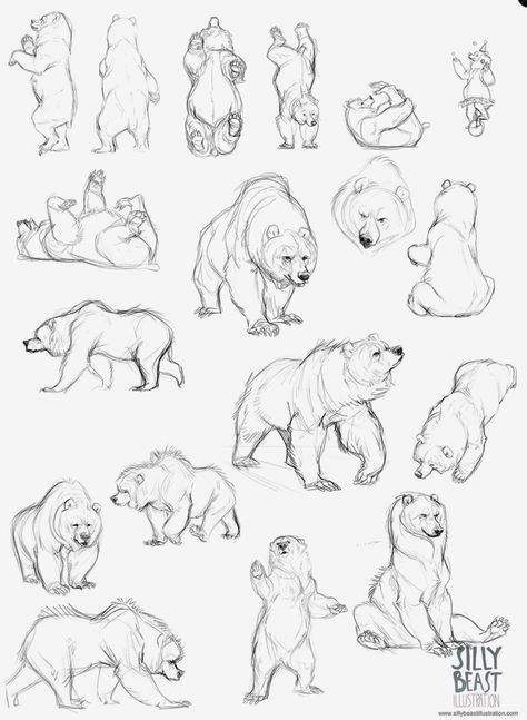 Bear Sketch, Drawing Eyes, Bear Drawing, Bear Tattoo, Animal Study, Anatomy Drawing, Bear Art, Animal Sketches, Polar Bears