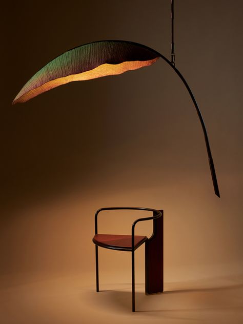 The third addition to the Lure Collection, Nana, from PELLE, combines realism with fantastical abstraction to bring a botanical illustration to life.  Nana’s distinctive banana frond is an enlivened specimen hand-sculpted into a single giant cast-cotton painted leaf. The leaf acts as a natural shade and is illuminated to become a standing or suspended light. Nature Inspired Lighting, Cotton Painting, Modern Hanging Lights, Chalet Design, Illustration Botanique, Suspended Lighting, Design Career, Painted Leaves, Botanical Drawings