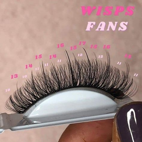 Lash Inspiration, Eyelash Styles, Lash Maps, Eyelash Decor, Eyelash Studio, Eyelashes Tutorial, Eyelash Extensions Salons, Lash Map, Eyelash Business