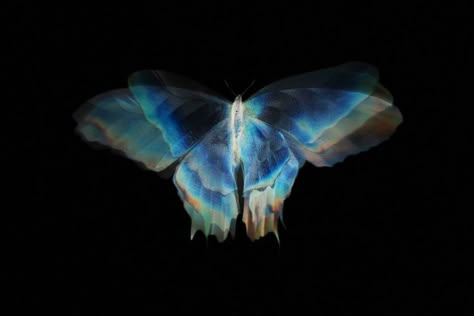 Butterflies Wallpaper Laptop, Blue Butterfly Wallpaper Laptop, Butterfly Laptop Wallpaper, Butterfly Wallpaper Laptop, Cyan Aesthetic, Keyboard Wallpapers, Pc Desktop Wallpaper, Butterfly Aesthetic, Wings Wallpaper