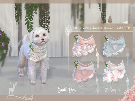 DanSimsFantasy's Small Dog Suit / Bohemian Wedding/ Female Sims 4 Cc Dog Clothes, Sims 4 Cc Dogs, Sims 4 Cc Dog Stuff, Dog Cc Sims 4, Sims4 Pet Cc, Ts4 Pet Cc, Sims 4 Cc Pet Stuff, Sims 4 Dog Cc, Sims 4 Pet Cc