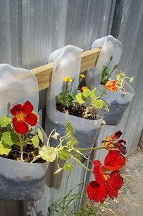 These pretty planters were made from milk jugs. | 33 Impossibly Cute DIYs You Can Make With Things From Your Recycling Bin Tin Shed, School Garden, Wall Garden, Wooden Blinds, Office Spaces, Recycling Bins, Garden Crafts, Milk Jug, Vertical Garden