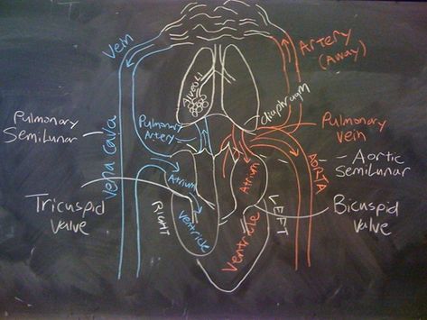 Math And Physics, Penny And Sheldon, Blackboard Drawing, Physics Formulas, Homework Helpers, Chalkboard Drawings, Teaching Biology, Stone Architecture, Math Formulas