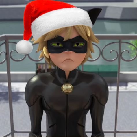 Christmas Miraculous Ladybug, Ice Cat Noir, Miraculous Christmas Wallpaper, Cartoon Christmas Pfp, Cat Noir Christmas, Christmas Miraculous, Chat Noir Christmas, Chat Noir Pfp, Pfp Miraculous