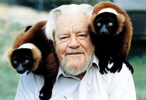 Gerald Durrell -Established the Jersey Wildlife Conservation Trust  ....oh the hours spent reading his books.....bliss! Gerald Durrell, Zoo Keeper, Animal Magic, Wildlife Conservation, Zoology, Temporarily Unavailable, Period Dramas, Inspirational People, Book Authors