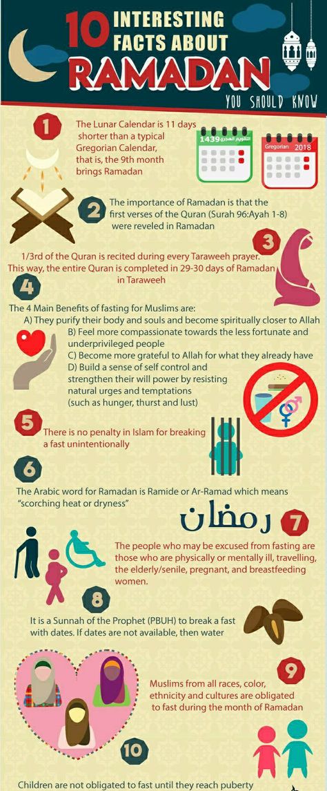 Ten interesting facts about #Ramadan... #Fasting #Islam Facts About Ramadan, Ramadan Tips, About Ramadan, Islam Ramadan, Ramadan Activities, 10 Interesting Facts, Mubarak Ramadan, Ramadan Day, Ramadan Quotes