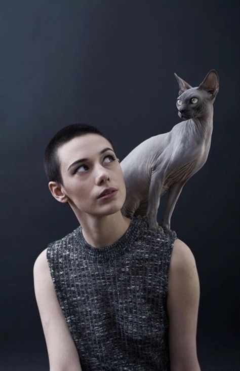 Pose Reference Photo With Cat, Sphynx Cat Photography, Cat And Human Drawing, Cat Poses Reference, Poses With Cats, Human With Animal, Poses With Cat, Pose With Cat, Cat Pose Reference