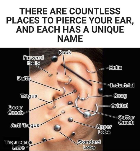 Cosmic-inspired Rook Piercing Designs for Ladies #GalacticGoddess #RookRevolution #CelestialStyle #SpaceAdornments #EtherealElegance Piercings Acupuncture, Secret Piercings, Ear Piercing Diagram, Spiderbite Piercings, Conch Ring, Second Ear Piercing, Ear Peircings, Piercings Ear, Ear Piercings Chart