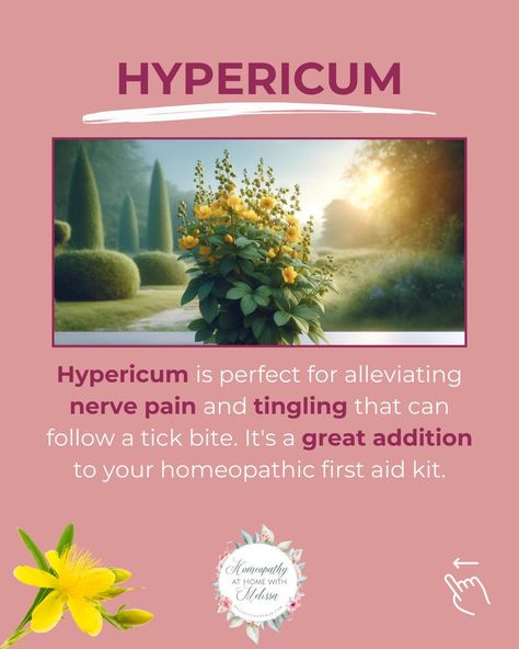 Stay prepared this summer with these essential homeopathic remedies for tick bites and prevention. Protect your family naturally! Do you want to learn how to use homeopathy and become the healer of your home? Book a 20-minute free Kickstart Call today and begin your journey to natural healing and wellness! https://melissacrenshaw.as.me/MentorshipKickStart #homeopathy #homeopath #learnhomeopathy #remedies #remedy #health #naturalhealth #homeopathyworks #homeopathyathome #melissacrenshaw #... Homeopathic Medicine Cabinet, Cell Salts, Homeopathy Remedies, Homeopathy Medicine, The Healer, Diy Remedies, Homeopathic Medicine, Homeopathic Remedies, Nerve Pain