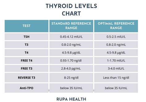 Thyroid Test Results, Kidney Function Test, Thyroid Levels, Thyroid Test, Polycystic Ovarian Syndrome, Polycystic Ovaries, Thyroid Function, Test Results, Thyroid Hormone