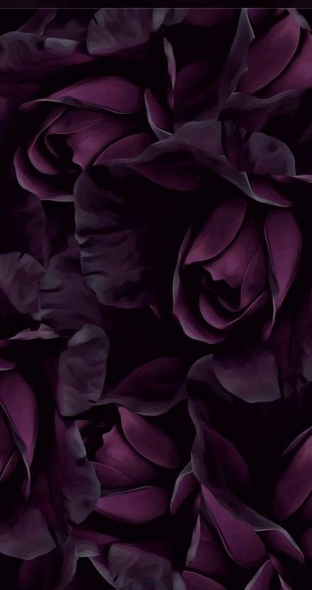 Wallpaper Huawei, Huawei Wallpapers, Purple Flowers Wallpaper, Wallpaper Retro, Flowers Background, Purple Lipstick, Rose Violette, Flower Phone Wallpaper, Rose Wallpaper