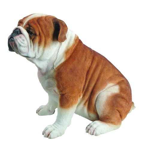 Vivid Arts Large Bulldog Resin Ornament -- Visit the image link for more details. #GardenDecor Bulldog Sculpture, Beautiful Sculptures, Bulldog Statue, Bulldog Breeds, Tortoise Shell Cat, Border Terrier, Clay Animals, American Kennel Club, Cat Ornament