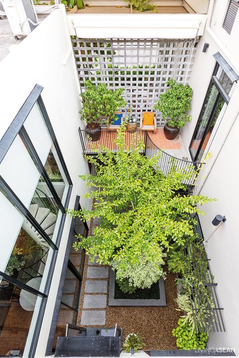 Tiny Internal Courtyard, Internal Garden Ideas, Houses With Inner Courtyards, Internal Courtyard Ideas, Indoor Atrium Internal Courtyard, Indoor Courtyard Ideas Modern, Internal Courtyard House, Small Indoor Courtyard, Enclosed Courtyard Ideas