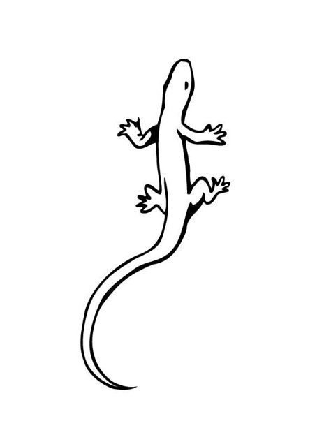 Lizard Coloring Pages, Cartoon Lizard, Gecko Tattoo, Lizard Tattoo, Printable Tattoos, Small Lizards, Small Tats, Camera Tattoo, Handpoke Tattoo