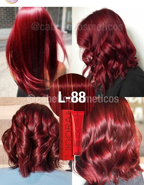 Types Of Red Hair Dye, Shades Of Red Hair Chart, Red Hair Color Chart Shades Of, Hair Dye Cherry Red, Dark Cherry Red Hair Box Dye, Igora Reds, Red Red Hair, Cherry Red Hair Color, Red Hair Color Ideas